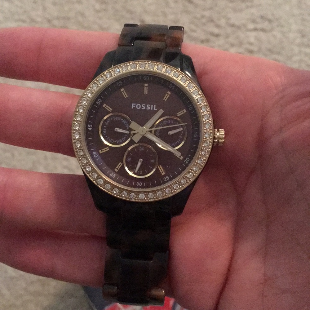 Tortoise Fossil Watch - image 2